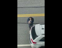 Two Men Carry and Pet Dog like a Baby 