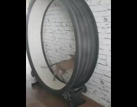 cats running on treadmill 