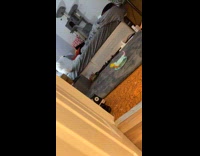 Cat sneakily walks to woman while playing