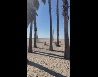 Guy rat mask crawl interrupt shoot beach 
