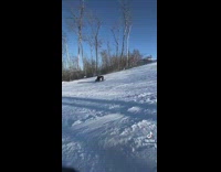 Snowboarder flips and falls after attempting a trick 
