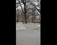 Collab winy - People walk around tree with their palms out