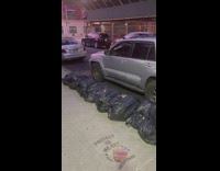 Lots of rats garbage bags beside car