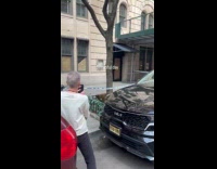 Swarm of bees on fence street tree
