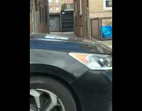 Collab WINY - Man in Car Calls Wild Black Squirrel from Sidewalk