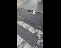 Man dressed as Abraham Lincoln on street corner