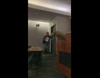 Person dressed as trex dinosaur scares professor walking into class