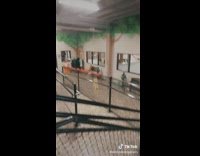 Dog waits at daycare 