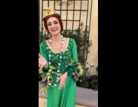 Woman films Shrek as boyfriend with Fiona