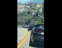Woman sits on edge of car window