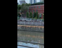 Five people walk all fours metal railing 
