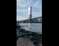 Surfer tries to surf in river 