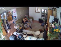 Dog throws pillow to dog on floor