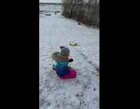 Girl tries to ride her sled and falls over 
