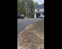 Dog drives black car out from garage
