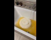 Bubbles form in circle spin in bathtub