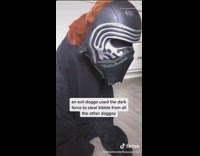 Dog wears Darth vader costume