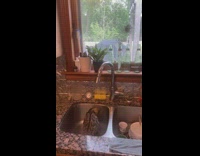 Pet cat catches and drinks water from the kitchen faucet