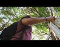 Man with a laptop on a hammock on top of two trees