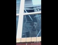 Dog destroys blinds looks at girls