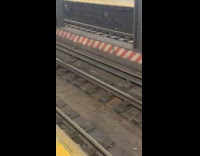 Subway rat steal food from other rat