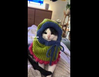 Collab Clips MPUGC2 - Cat wears crocheted balaclava 