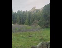 guy in black body suit walks in forest 