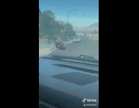 Plastic poop toy on windshield smear