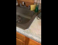 Filmer cover strainer to rat in sink