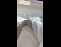 Dog scared of almost falling from bed 