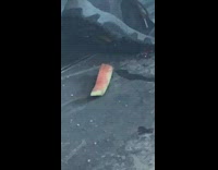 watermelon piece under woman's boot