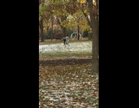 Woman printed jacket dance park snow leaves