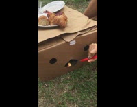 Girl feed box with holes shaped like face