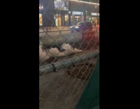 Explosions and smoke come from drainage part 2