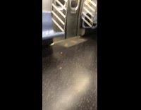 Guy holds belt of bullets on subway train