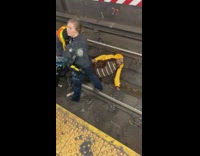 BitchMP - Man orange jacket train tracks pt 4