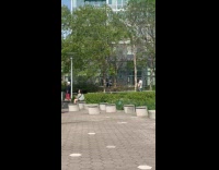 Marching band pass by park with wedding