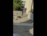 Girl face on ground photographs friend arch 