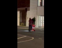 Man moves Christmas tree in cart while riding onewheel