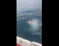 Green shorts swim goggles guy jumps boat