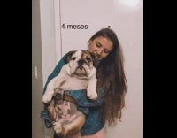 Timeline of woman holding bulldog as it grows up