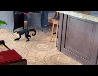 Monkey at bar counter pull out tissues