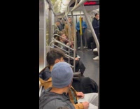 Collab NewYorkers - Two men argues inside the subway train
