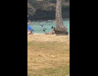 Collab IITW - Woman in black bikini sandy butt at beach