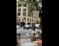 Collab winy - Man balance book on head walk with dog