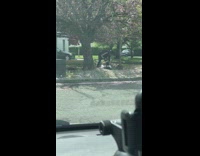 Girl lay grass under tree purple petals