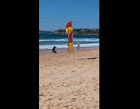 Woman in purple bikini photoshoot at beach