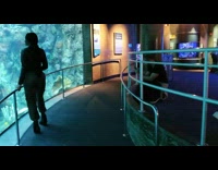 Girl posing in dark indoor aquarium 