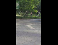 People stand on park grass and move sticks up down