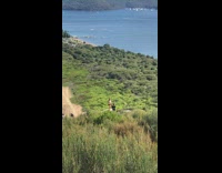 Girl Poses for Photos with Greenery near Water